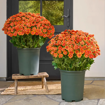 Artificial Outdoor Sunset Mums Flowers
