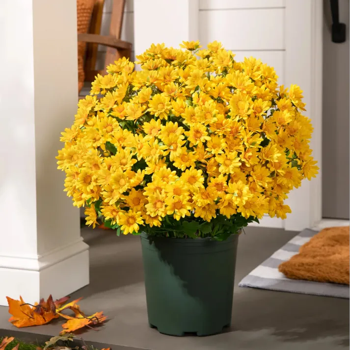 Artificial Outdoor Sunset Mums Flowers