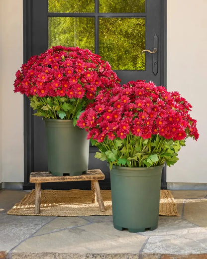 Artificial Outdoor Sunset Mums Flowers