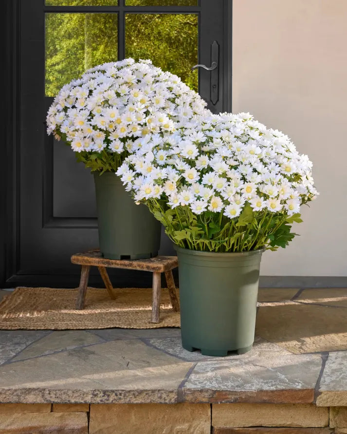 Artificial Outdoor Sunset Mums Flowers